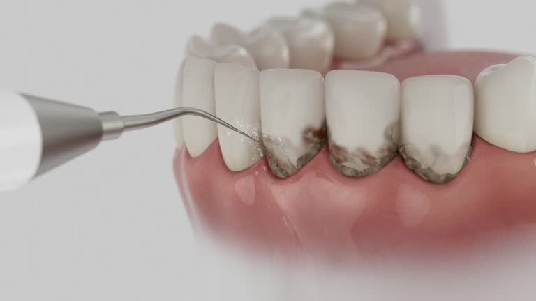 Reliable Dental contractor in Varnville, SC by Dentist Open Now